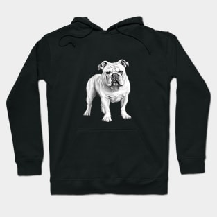 Bull Dog Design Hoodie